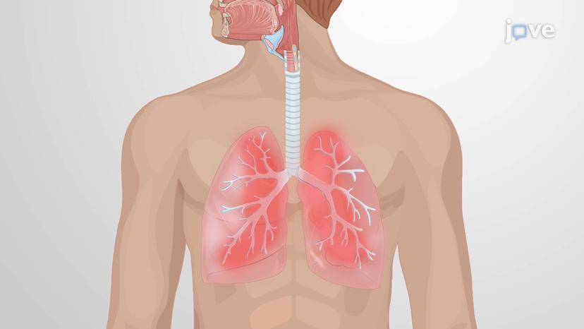 Common Respiratory Disorders