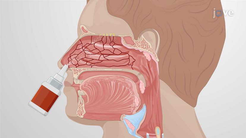 Upper Respiratory Drugs: Decongestants