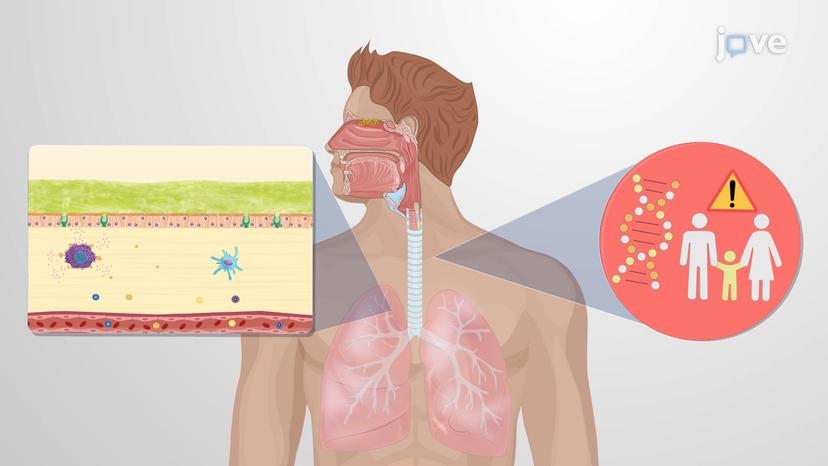 Asthma: Pathogenesis and Management