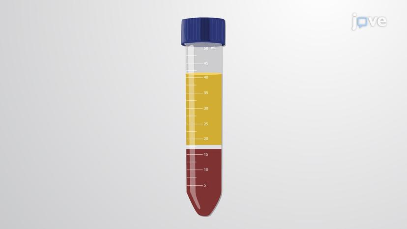 Composition of Blood Plasma