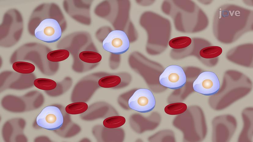 Role of Hematopoietic Growth Factors