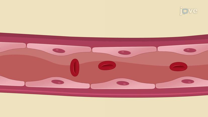 Hemoglobin