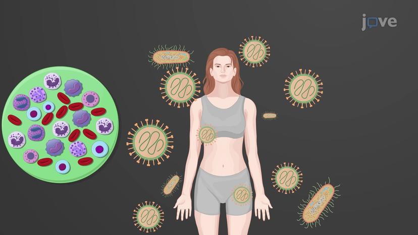 Disorders of Leukocytes