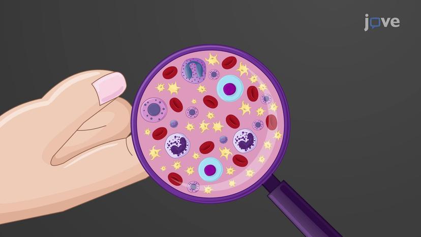 Structure and Function of Platelets