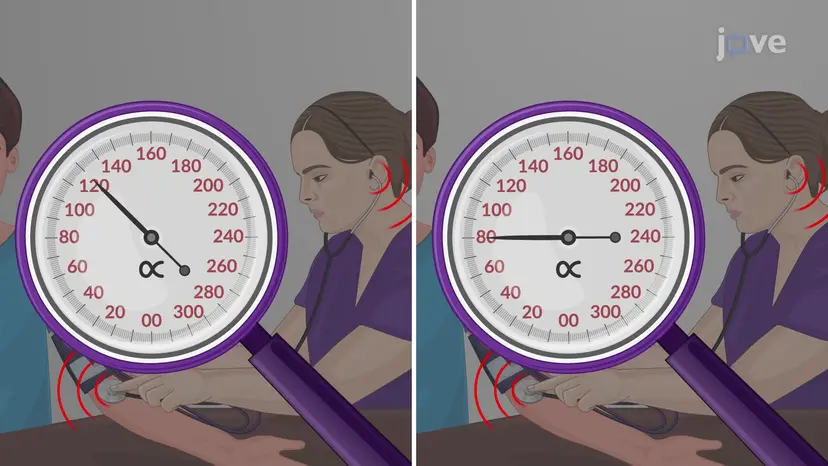 Measurement of Blood Pressure