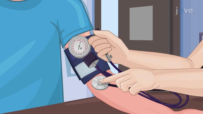 Blood Pressure Imbalances and Circulatory Shock