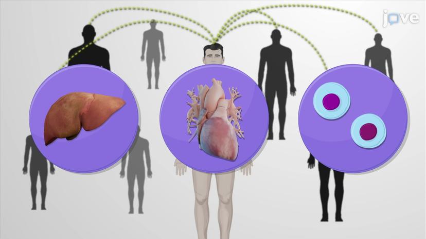 Tissue Transplantation