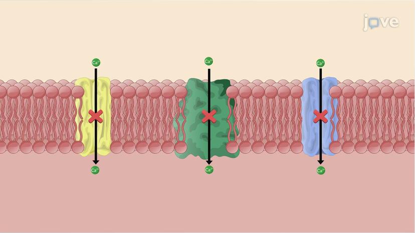 Treatment for Pulmonary Arterial Hypertension: Receptor Tyrosine Kinase Inhibitors and Calcium Channel Blockers