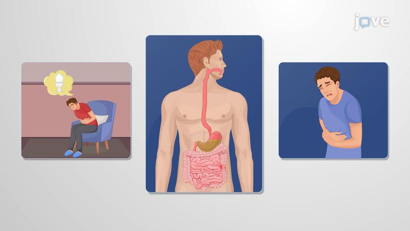 Gastrointestinal Motility Disorders