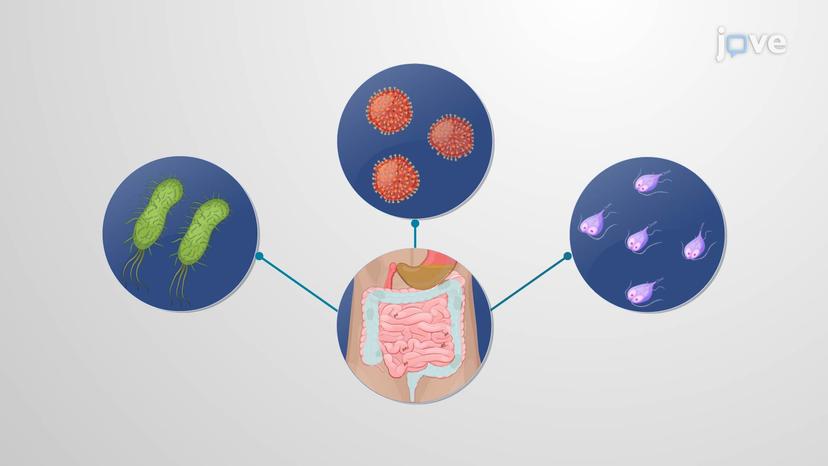 Drugs Affecting GI Tract Motility: Antimicrobials as Antidiarrheal Agents