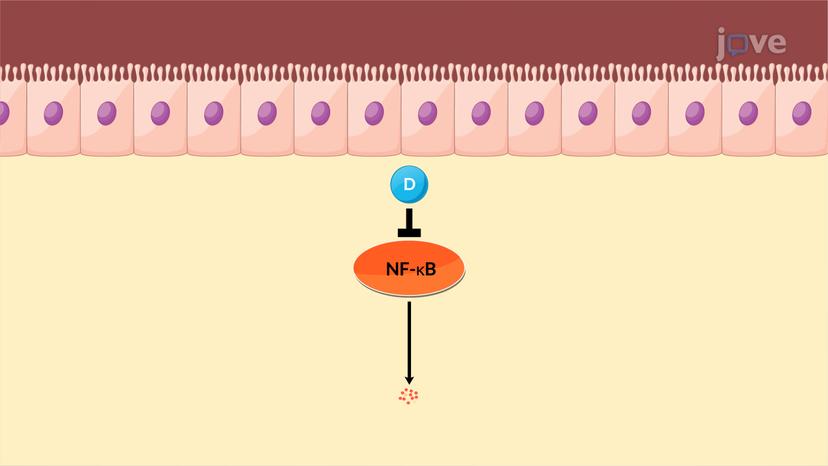 Drugs for Treatment of Ulcerative Colitis in IBD