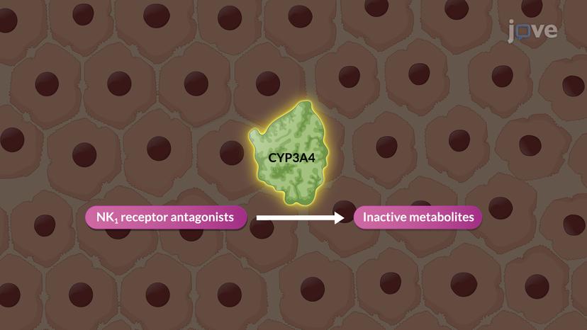 Chemotherapy-Induced Nausea and Vomiting: Neurokinin-1 Receptor Antagonists