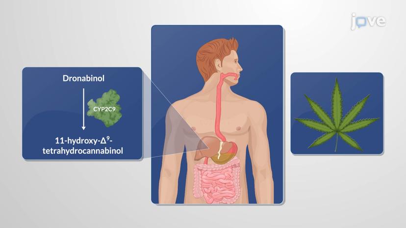 Chemotherapy-Induced Nausea and Vomiting: Cannabinoids