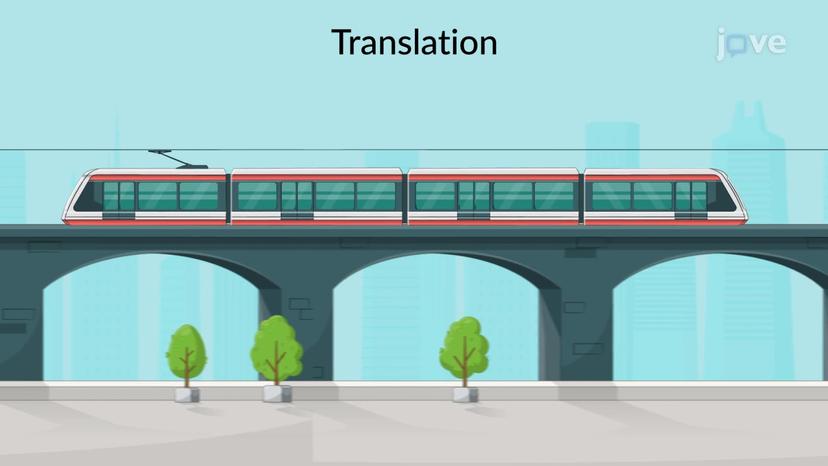 Planar Rigid-Body Motion