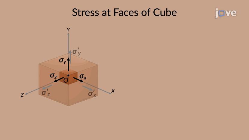 Components of Stress