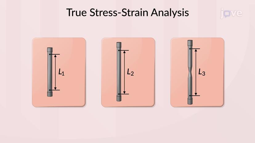 True Stress and True Strain