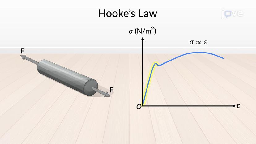 Hooke's Law