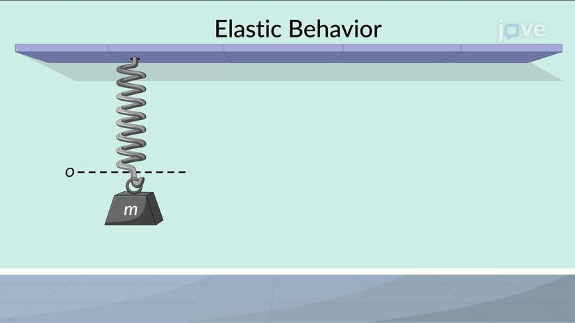 Plastic Behavior