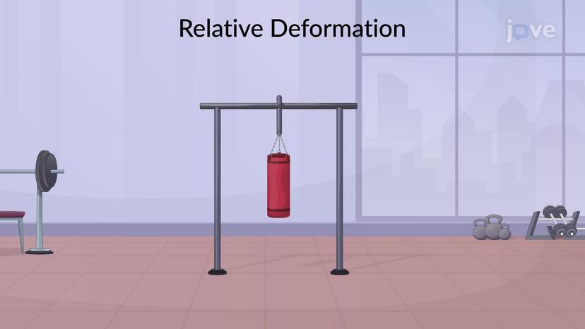 Deformation of Member under Multiple Loadings