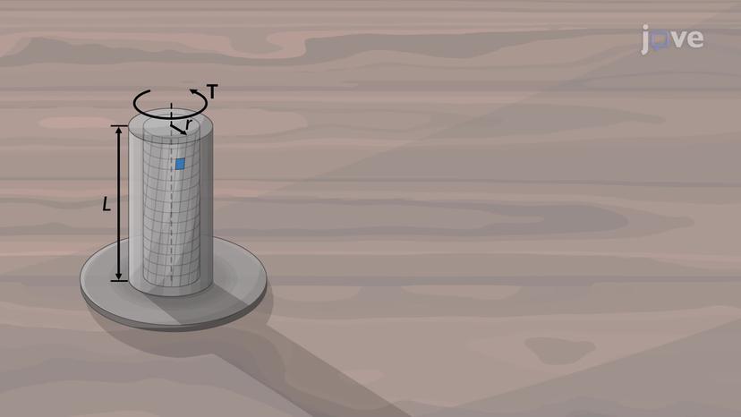 Deformation in a Circular Shaft