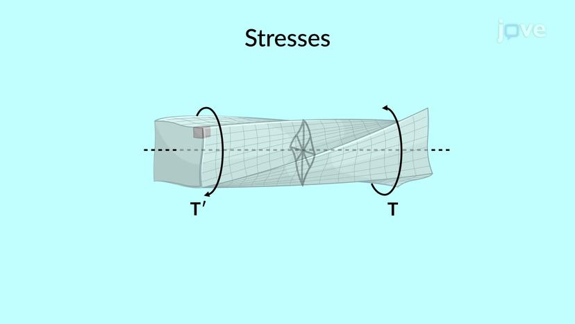 Torsion of Noncircular Members