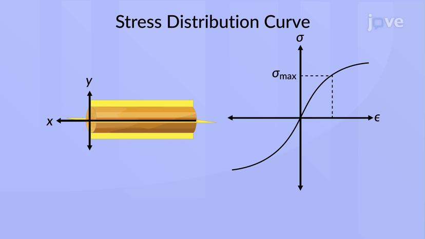 Plastic Deformations