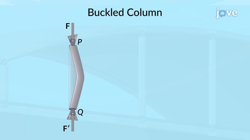 Euler&#39;s Formula for Pin-Ended Columns