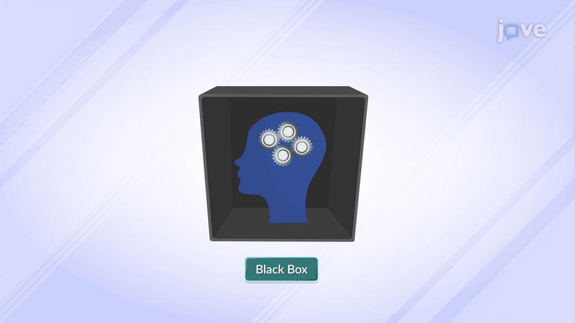 Black Box Model