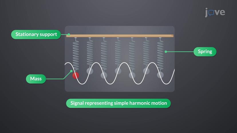 Exponential and Sinusoidal Signals