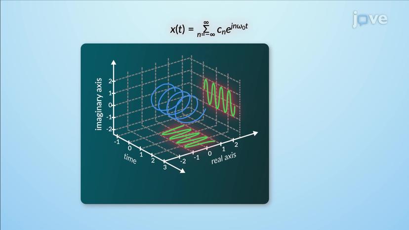 Exponential Fourier series