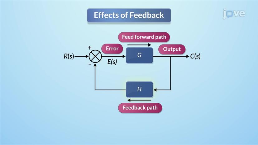 Effects of feedback