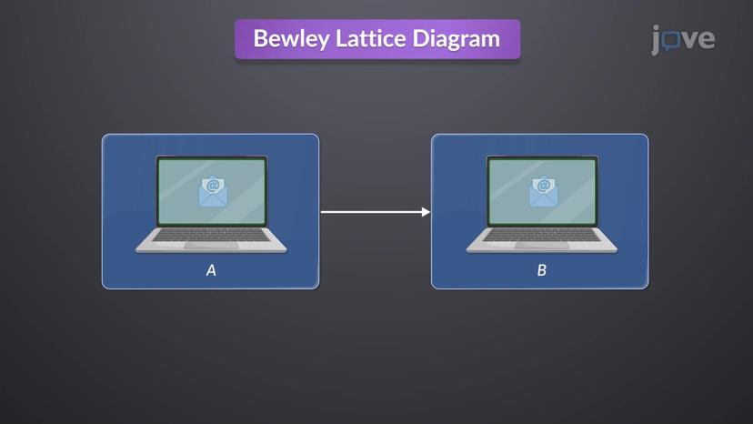 Bewley Lattice Diagram