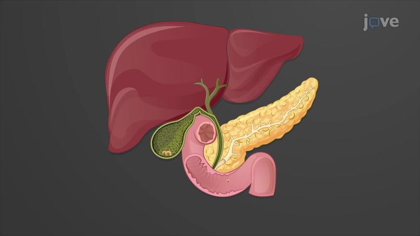 Diseases of the Liver and Gallbladder