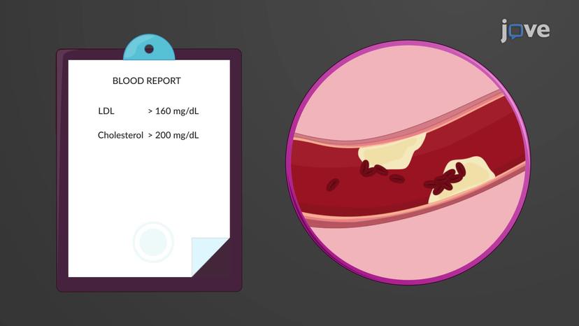 Cholesterol: Significance and Regulation