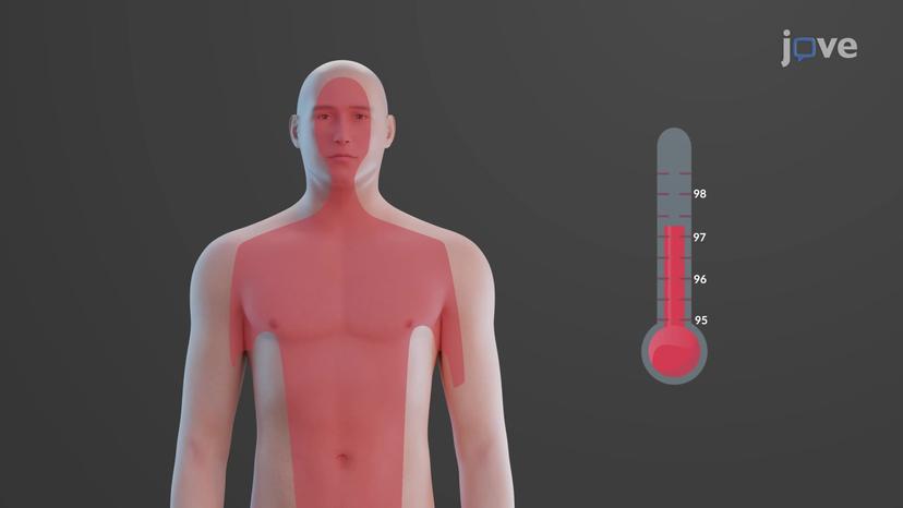 Thermoregulation