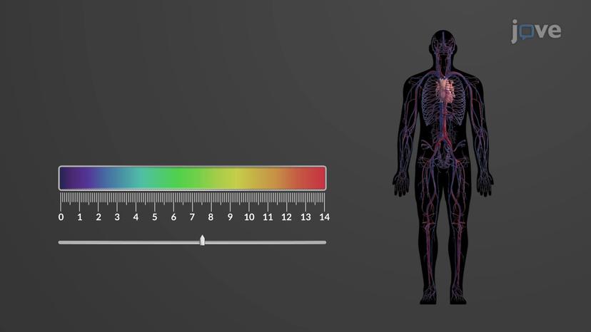 Disorders of Acid-Base Balance