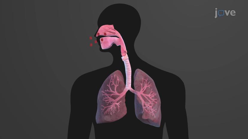 Diagnosing Acidosis and Alkalosis