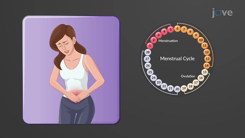 Disorders of the Female Reproductive System