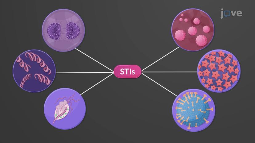 Sexually Transmitted Infections