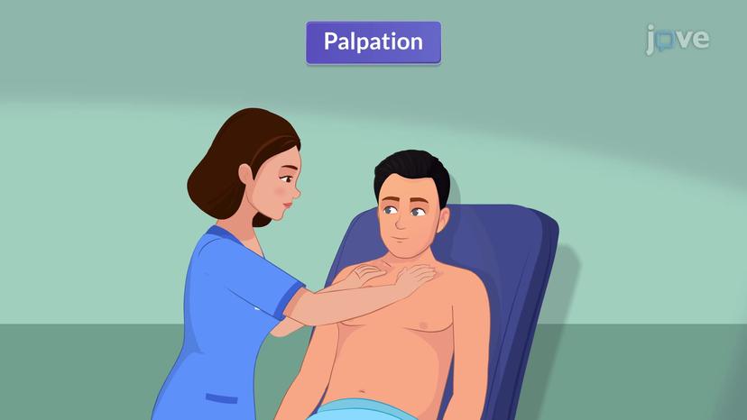 Physical Assessment of the Respiratory Tract II: Palpation