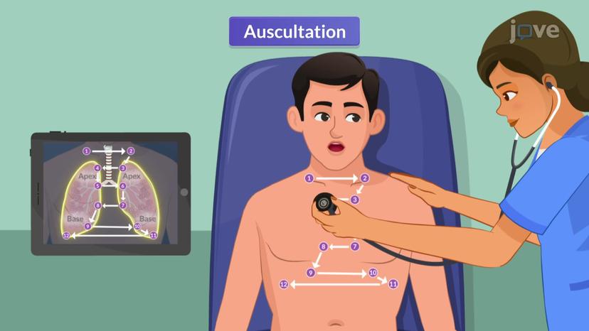 Physical Assessment of the Respiratory Tract IV: Auscultation