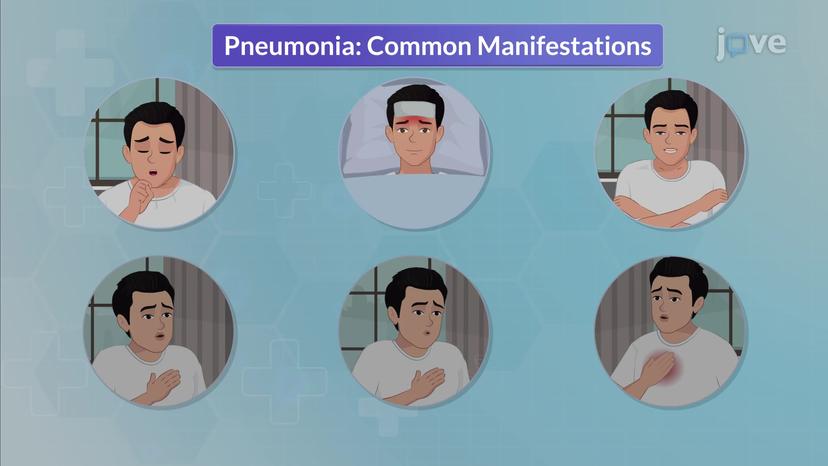 Pneumonia II: Pathophysiology