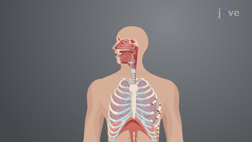 Acute Respiratory Failure-III