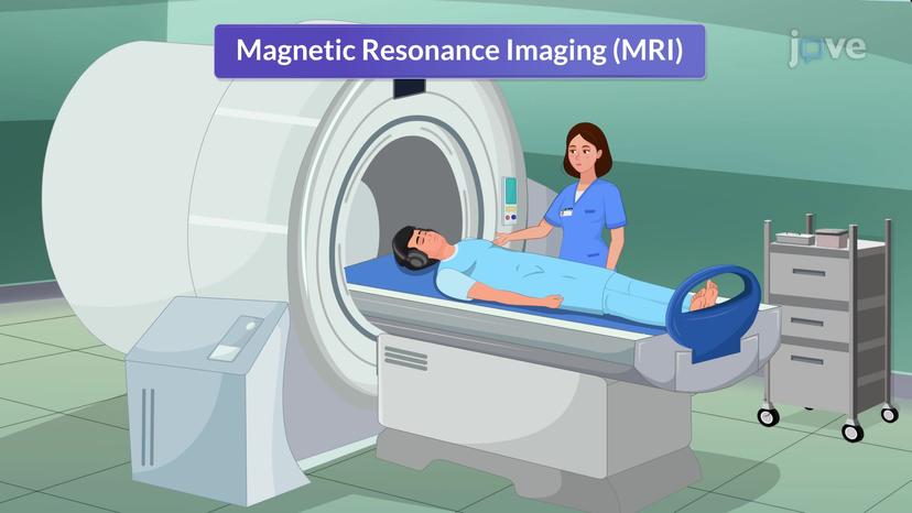 Radiological Investigation II: MRI and Ventilation Perfusion Scan