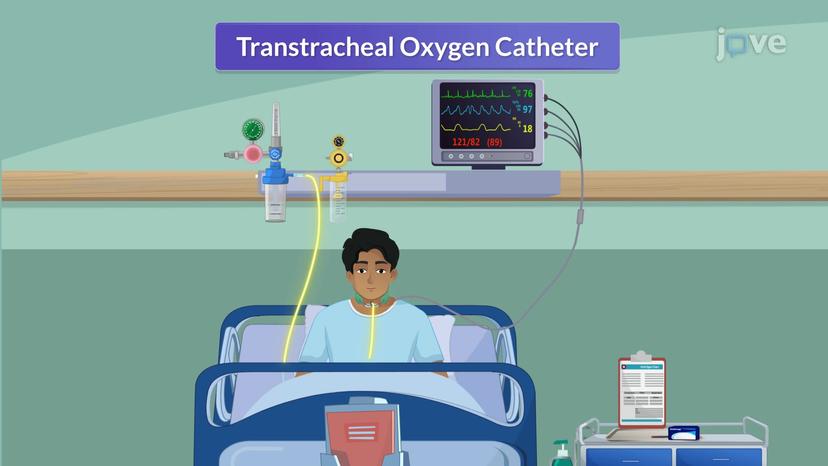 Oxygen Delivering System II:  Venturi Mask and Transtracheal Oxygen