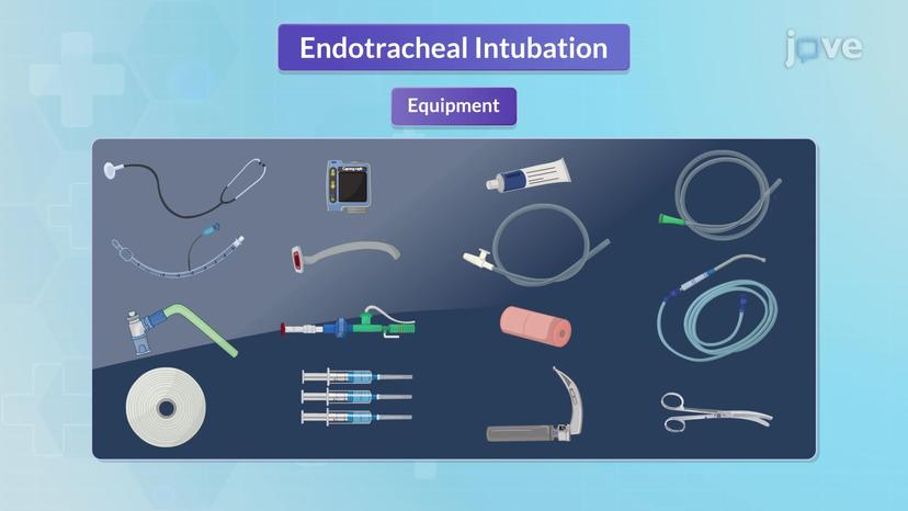 Endotracheal Intubation II: Nursing Management