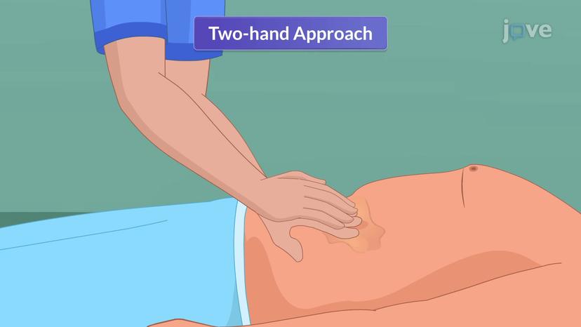 Assessment of the Abdomen III: Palpation