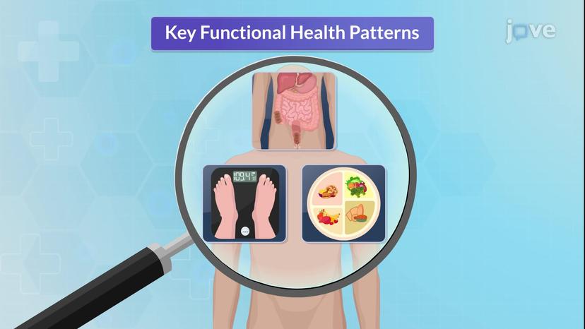 Assessment of the Gastrointestinal System II: Health Perception Pattern