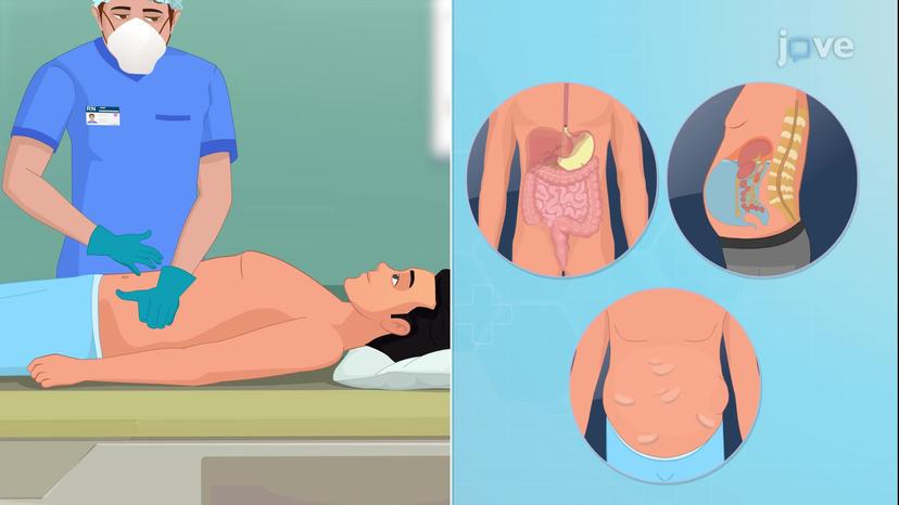 Assessment of the Abdomen II: Percussion