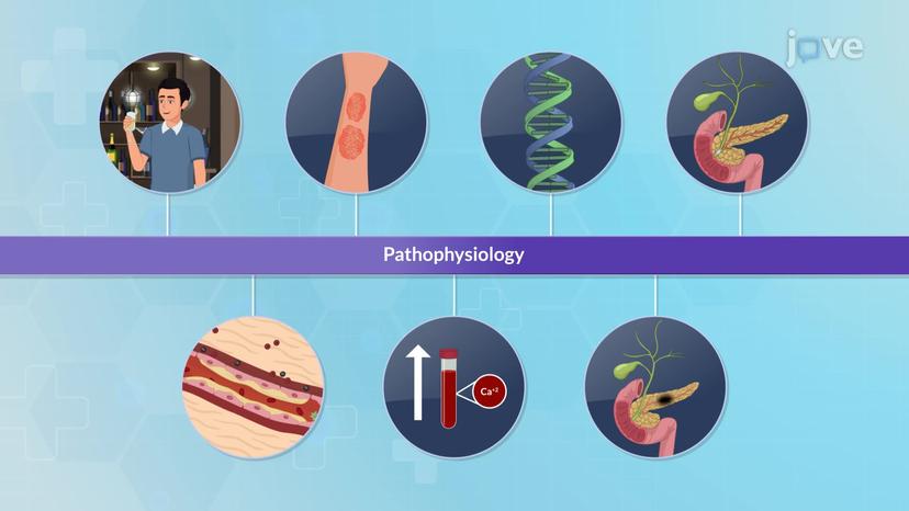 Chronic Pancreatitis I: Introduction